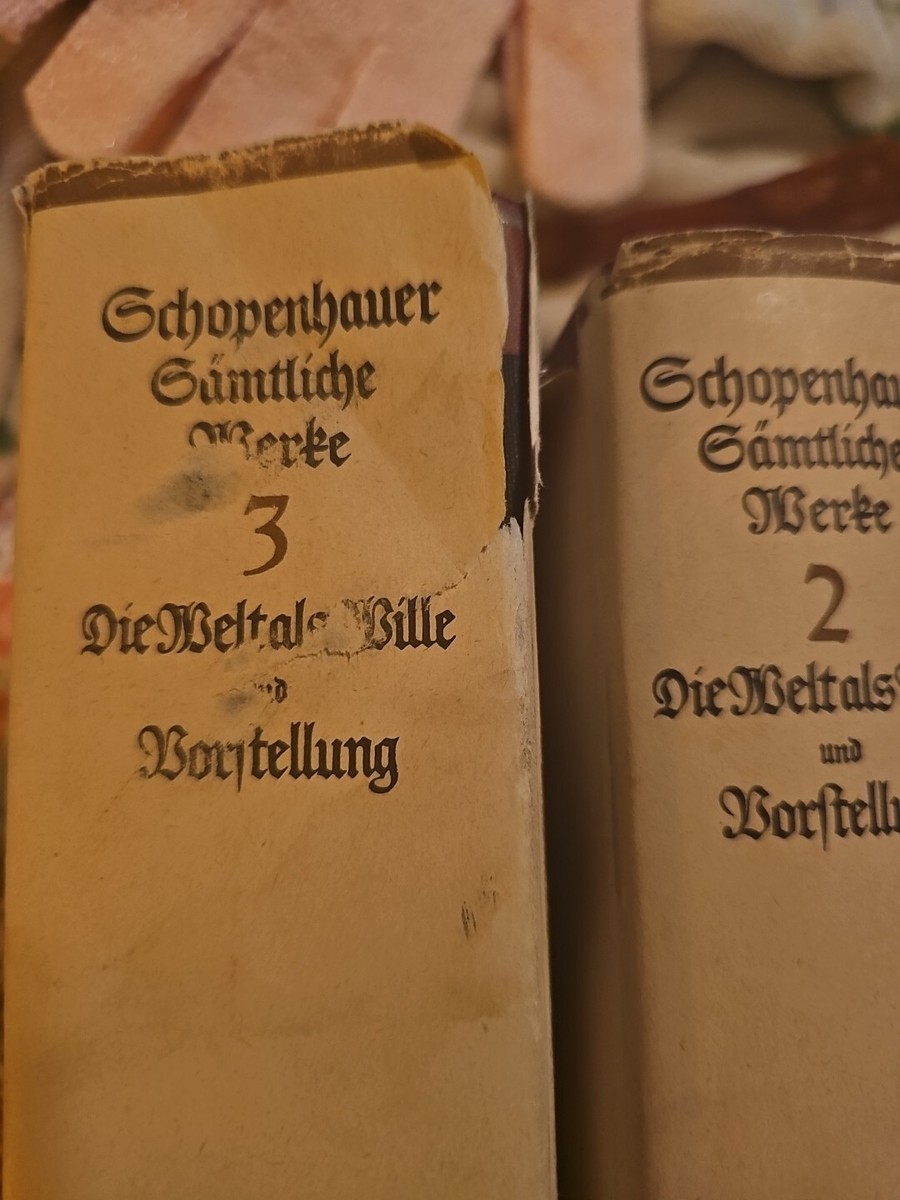 Arthur Schopenhauer's Sämtliche werke ２ Arthur Schopenhauer 1891 Sammtliche Werke Volume 2 And 3 Antique