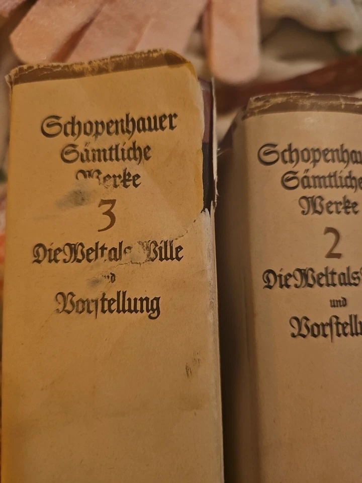 Arthur Schopenhauer 1891 Sammtliche Werke Volume 2 And 3 Antique Books - Image 3 of 4