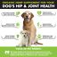 thumbnail 4  - Hemp Hip &amp; Joint Supplement for Dogs Mobility Glucosamine Chondroitin 120 Chews 