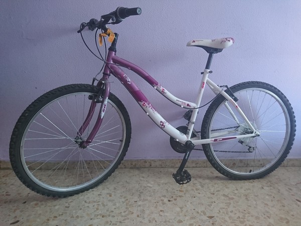 bicicleta de montaña