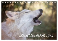 "Calendar 2027 · US Version · Wolfhounds 2027 (Wall Calendar 2027 12\" × 8\" Landsc"