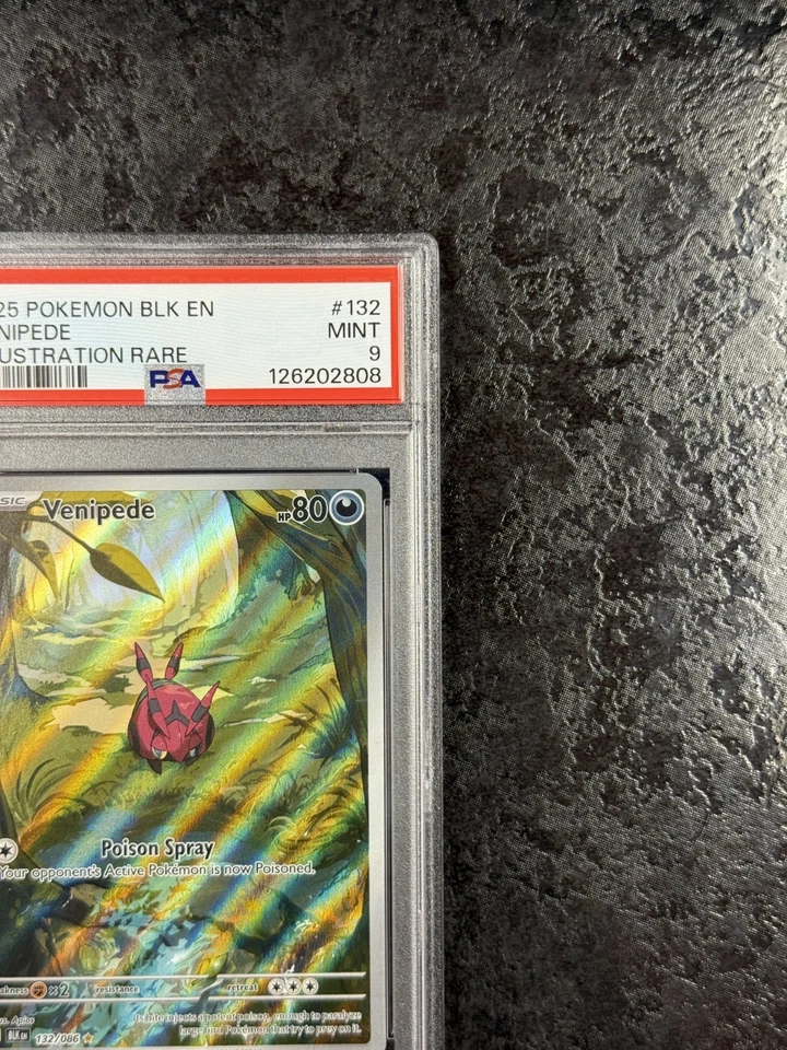 2025 POKÉMON BLACK BOLT EN VENIPEDE ILLUSTRATION RARE #132 MINT 💎 PSA 9 - Image 2 of 4