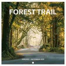 2026 Calendar - 2026 Wall 12 months from Jan. 2026 - Dec. 2026, Blue