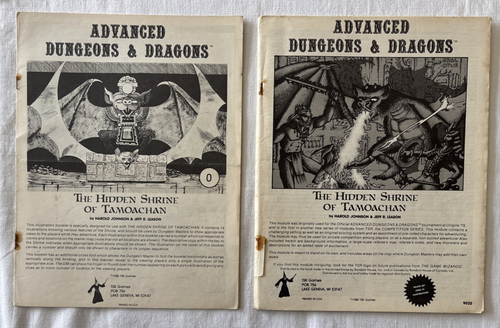 C1 The Hidden Shrine of Tamoachan MONO D&D Module 2nd print TSR 9032 - Picture 3 of 5