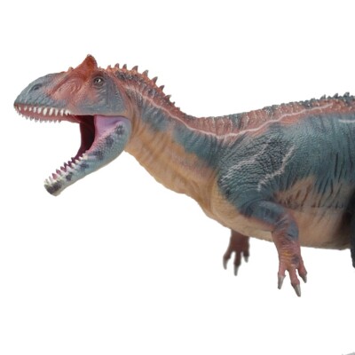 Haolonggood Allosaurus (YangZhi) - Neu in OVP