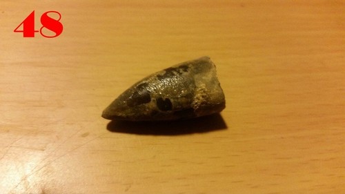 3x Echte BELEMNITEN / Donnerkeile 30 mm Versteinerung Fossilien Millionen Jahre - Bild 16 von 24