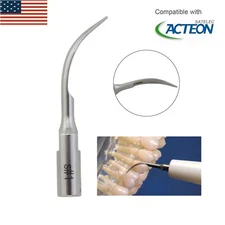 Universal Scaling Tip #1 F00246 fit Dental Scaler Satelec Acteon P5 XS Newtron