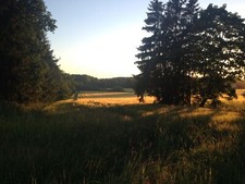 Landscape summer field sunlight green trees finland Custom Gaming Mat Desk