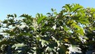 Bild 4 von 6