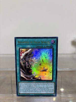 Branded in High Spirits RA05-EN067 [Ultra Rare] Rarity Collection V Yugioh NM