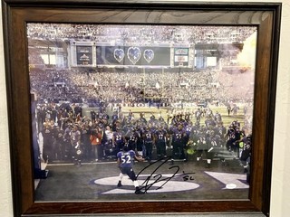Ray Lewis NFL Ravens 16x20 Original Signed Photo JSA Authenticated