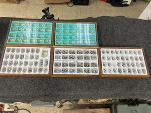 Unitek First Primary Molar Second Primary Molar First Permanent and More