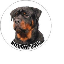ROTTWEILER DOG ANIMAL PET Pendant 925 Sterling Silver 20" Necklace Men Women