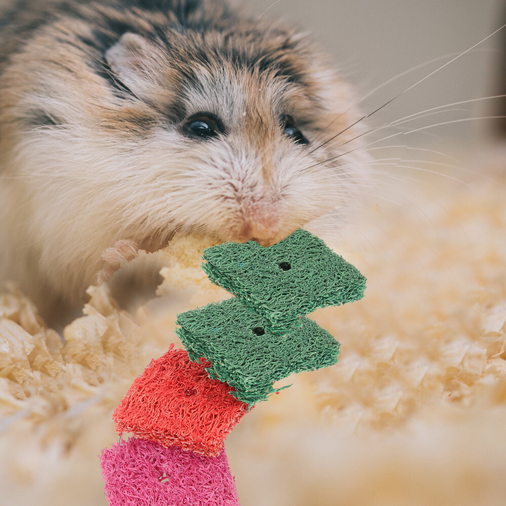 50pcs Loofah Chew Toys Loofah Rabbit Hamster Loofah Chew Toys Rat Toys Small eBay