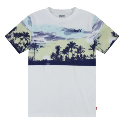 Levis Jungen Boys T-Shirt graphic Tee Breeze white