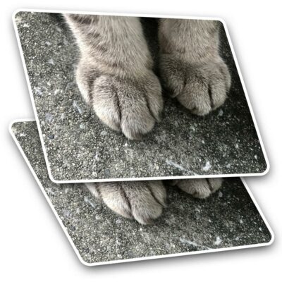 2 x Rectangle Stickers 7.5 cm - Grey Cat Kitten Paws Blue Tabby Cool ...