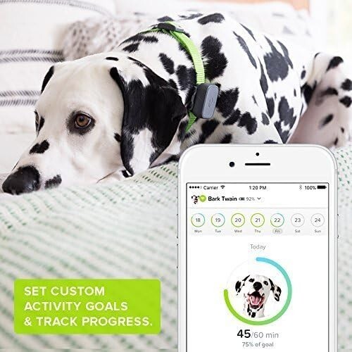 Whistle 3 GPS Pet Tracker Activity Monitor Durable & Waterproof Proactive alerts - 第 13/13 張圖片