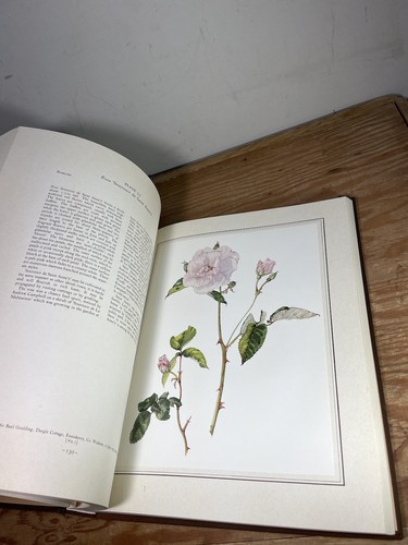 An Irish Florilegium Hardcover Wendy Walsh - 第 13/21 張圖片