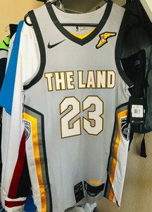 lebron the land jersey