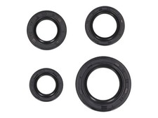 Peugeot Trekker Streetboard 50cc Engine Oil Seal Kit
