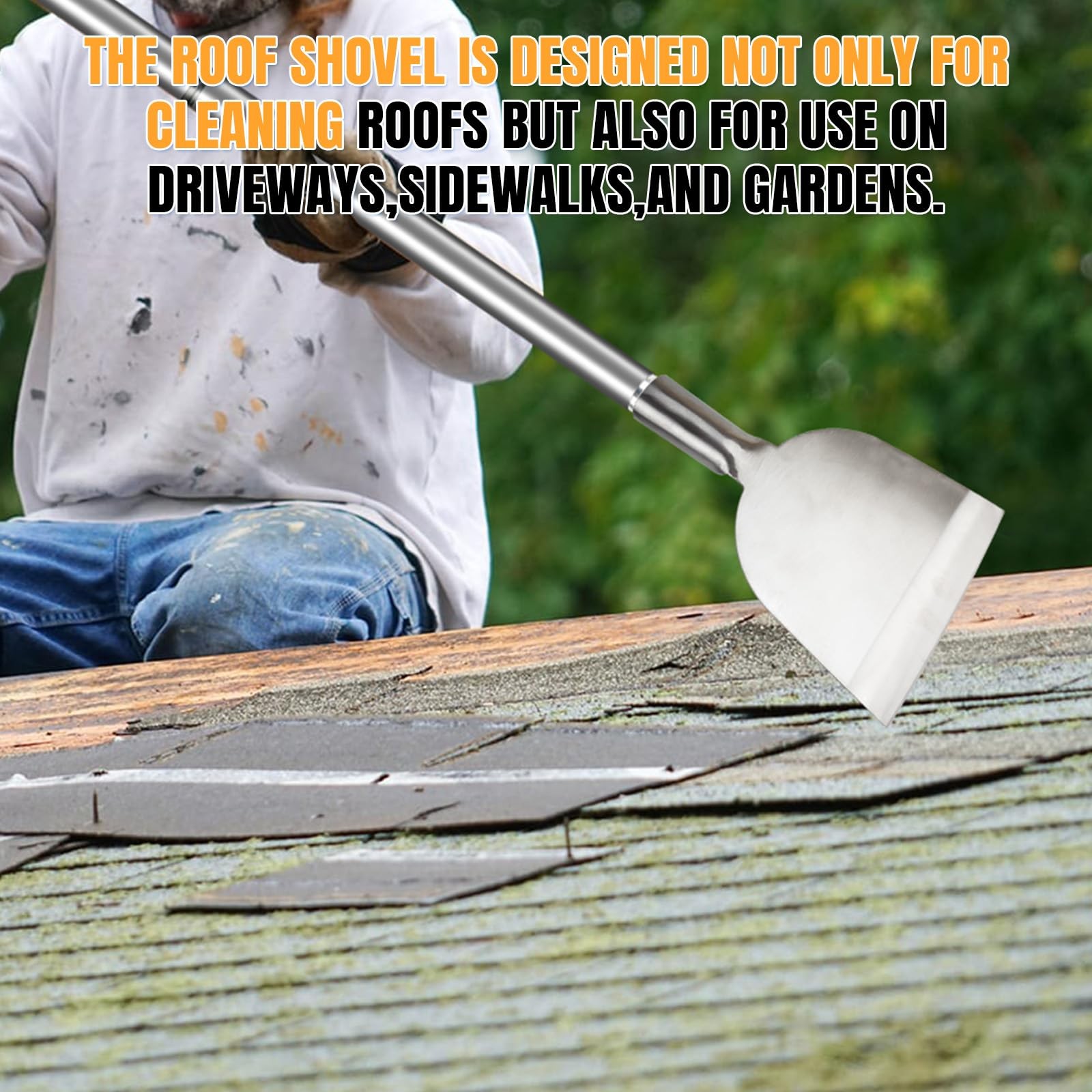 Foto 4 di 6