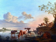 Cattle sheep farm B. Ommeganck Tile Mural Kitchen Wall Backsplash Marble Ceramic