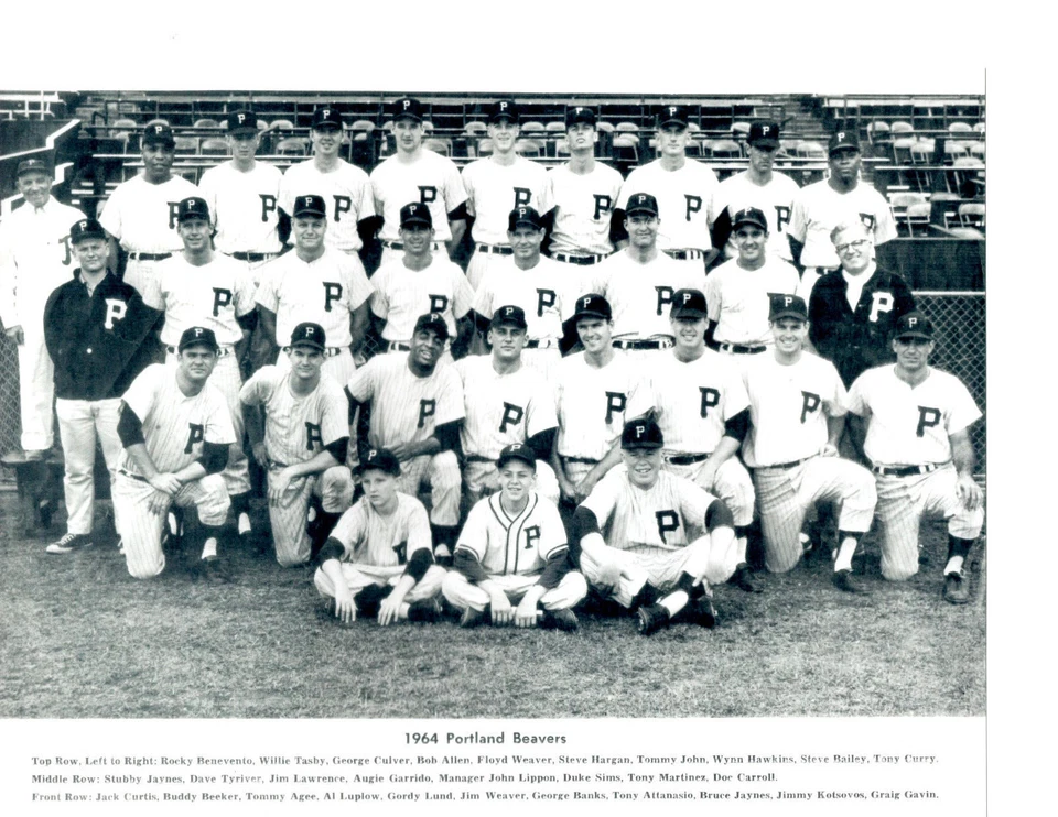 1964 PORTLAND BEAVERS PCL TEAM 8X10 PHOTO JOHN BANKS BASEBALL AAA OREGON