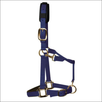 KM Elite Padded Headcollar Royal Blue Size Small Pferd Reitausrüstung