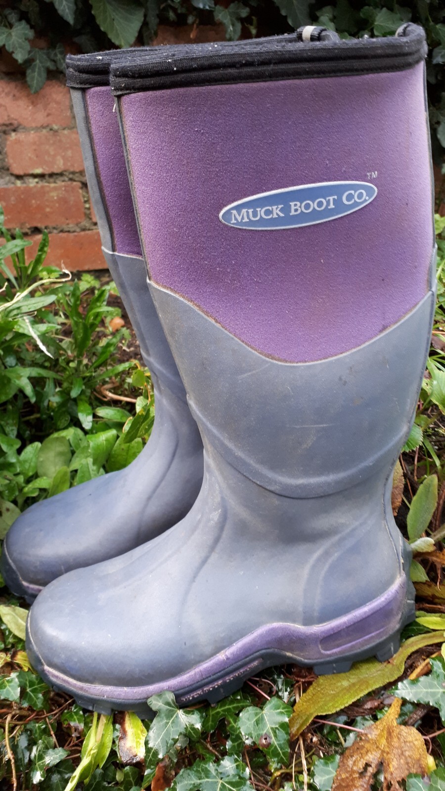 Womens Purple MUCK boots Size 5 eBay