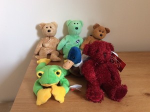 beanie teddies