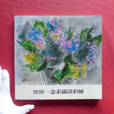 T2 Catalog Sone Ichinen Drawings And Colors Exhibition/1986 Sano Art Museum Teiz