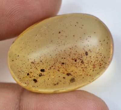 100% Natural Tanzania Yellow Amber 19.45 CT Untreated Certified Small Insect Gem