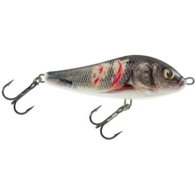Salmo Rattlin Slider Jerkbait Supernatural Wounded Dace SWD Barsch Zander Hecht