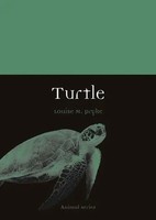 Turtle | Louise M. Pryke | Englisch | Taschenbuch | Animal | 2021