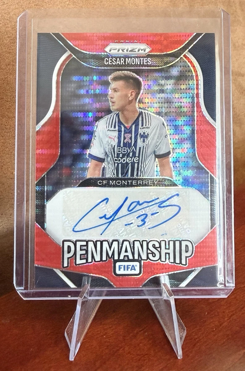 Panini Autographed Soccer Sports Trading Cards & Accessories for