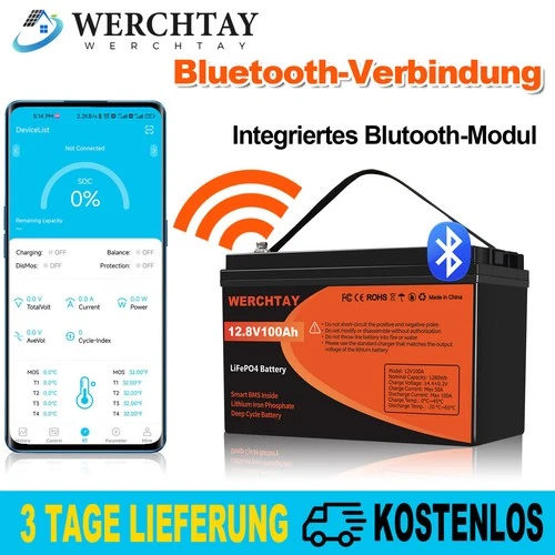 Bluetooth 12V 100Ah LiFePO4 Lithium Batterie BMS Akku Solaranlage Wohnmobil RV  - Bild 1 von 26