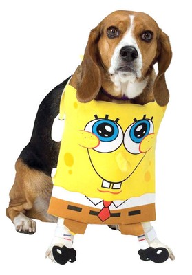 SpongeBob SquarePants Costume