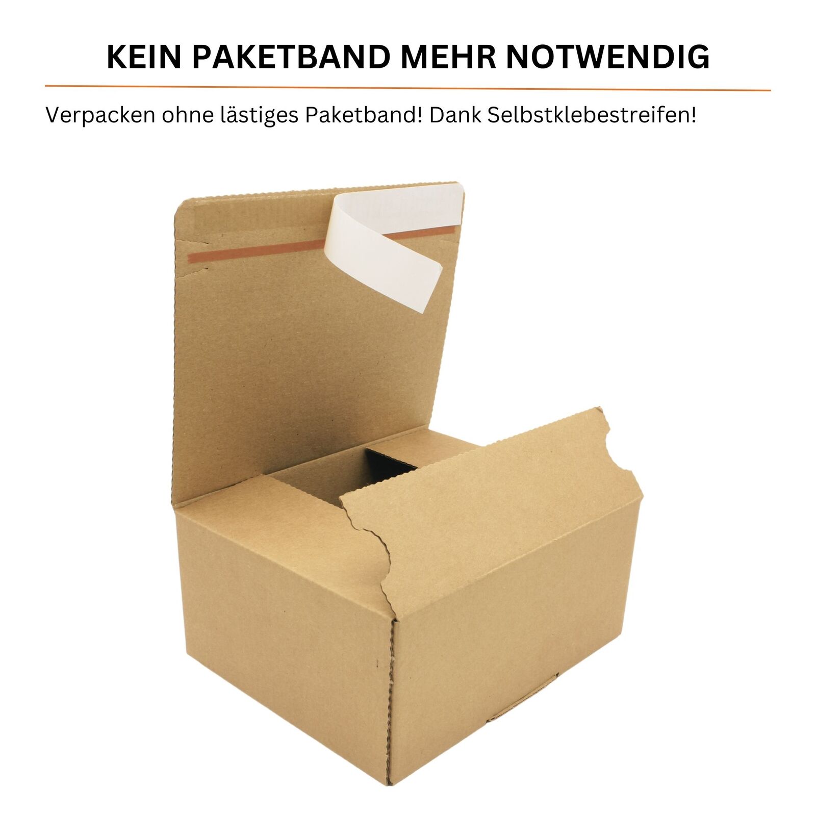 Bild 11 von 82