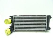 LADELUFTKÜHLER Peugeot 3008 I (0U/HU) MPV 1.6 HDiF 16V (DV6C(9HD)) 0384N9