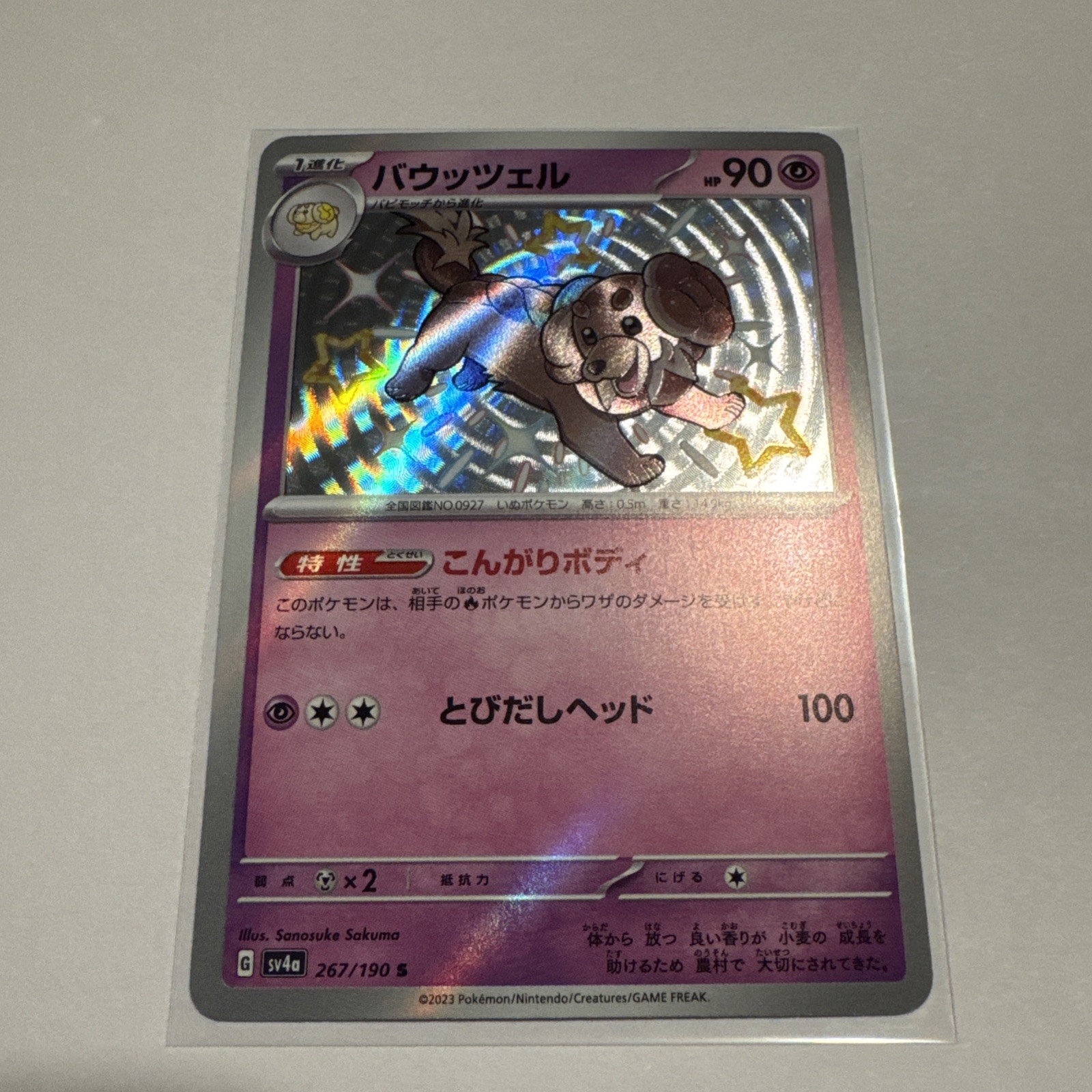 Dachsbun - Baby Shiny Rare - 267/190 - SV4a: Shiny Treasure ex - Japanese