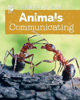Alex Wolf Animals Communicating (Taschenbuch)