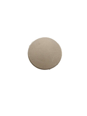 2005-2010 Toyota Sienna Seat Armrest Bolt Upholstery Clip PLUG CAP Cover GRAY