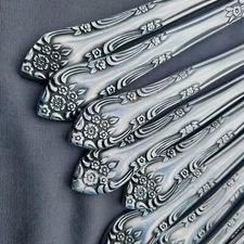 Floral Flower Swoop Hibiscus Rogers Korea 24 Piece Flatware Stainless Steel 