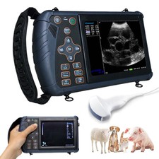 DAWEI Protable Veterinary Ultrasound Machine Convex Probe For Pigs, Cows, Sheep