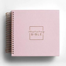 Illustrating Bible NIV Pink by DaySpring