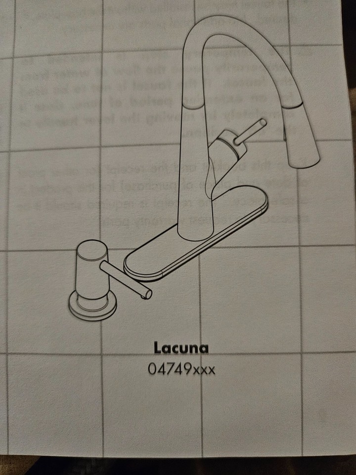 Hansgrohe Lacuna Pull Down Kitchen Faucet eBay