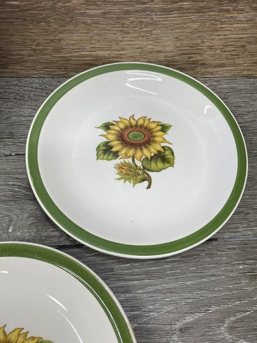 Genuine Ironstone Sunland by Harmony House Japan 7 3/8” Salad Plates~Set of 5 - 第 8/17 張圖片