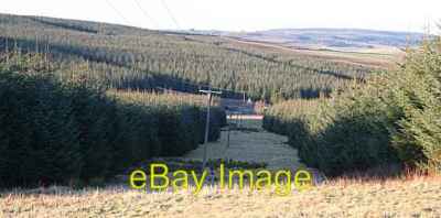 Photo 6x4 Torry Hillock Cairnie/NJ4844 Almost the whole of this square i c2008