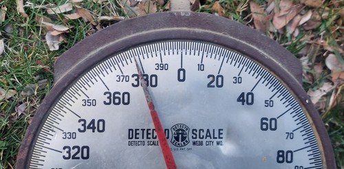 Detecto Scales 11S Series Cap. 400 lbs. Detecto Matic 11S27, Brooklyn NY - Picture 4 of 6