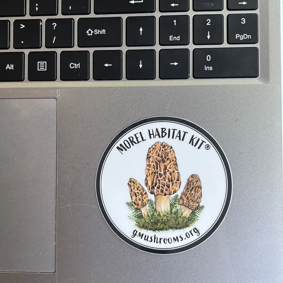 Morel Grow Kit® & Morel Sticker  GROW MORELS IN YOUR BACKYARD GARDEN - ANY SOIL - Image 3 of 4